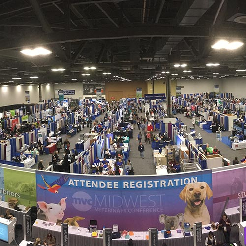 Join Us at 2024's Premier Veterinary Events! AIV Vet